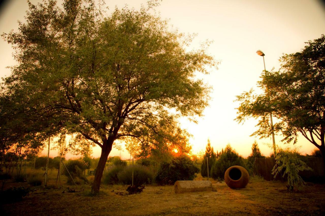 Las Candelas Casas De Los Pinos Екстериор снимка